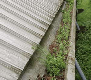 Happy customers in Princes Risborough who trust The Roof Moss Cleaners for gutter cleaning services